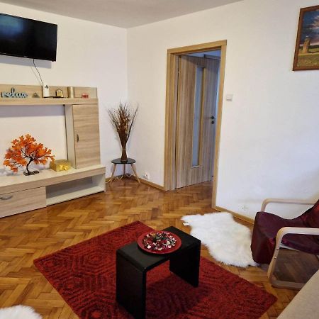 Petuniei Apartment Brasov Exterior photo