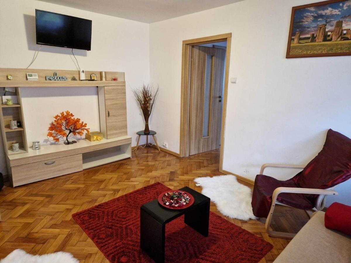 Petuniei Apartment Brasov Exterior photo